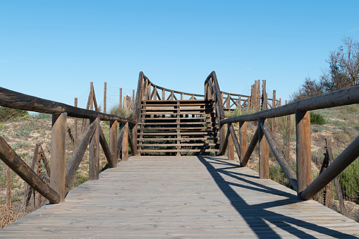 A suspension footbridge over Santa Fe River at O'Leno State Park in Florida.