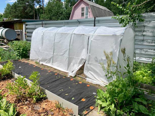 Spunbond greenhouse.