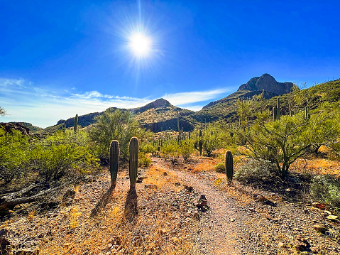 Safford Peak Mountain en Arizona photo