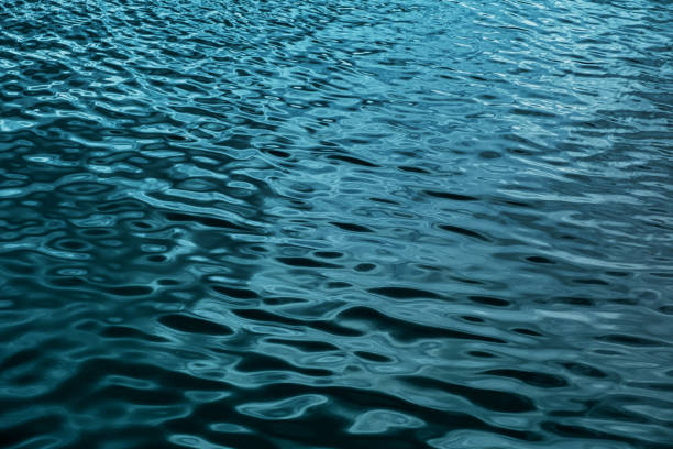 blue water branches pattern nature