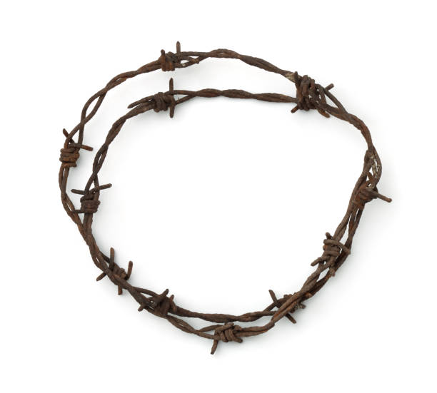 istock Top view of rusty barbed wire 1405272422