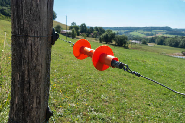 istock electric pasture fence 1405273760