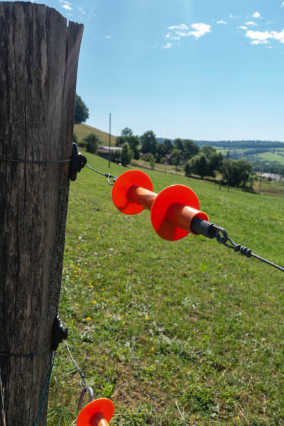 istock electric pasture fence 1405273810