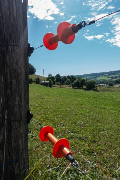 istock electric pasture fence 1405273843