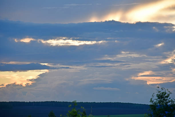 Evening clouds are blue pink and the forest horizon