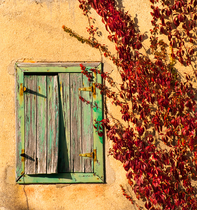 Old weathered window, green shutters, wall covered with red ivy. Autumn time at dusk, Rías Baixas,  Pontevedra province, Galicia, Spain.
