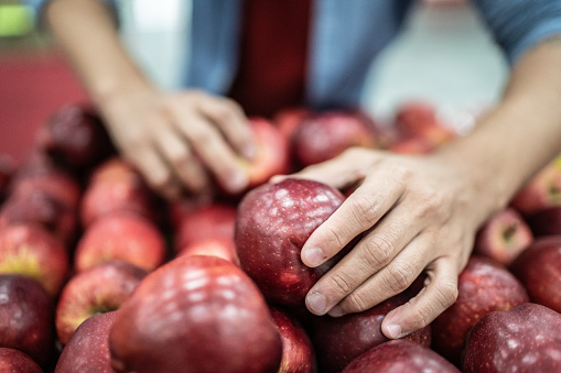 Man's hand choosing apples in a supermarket