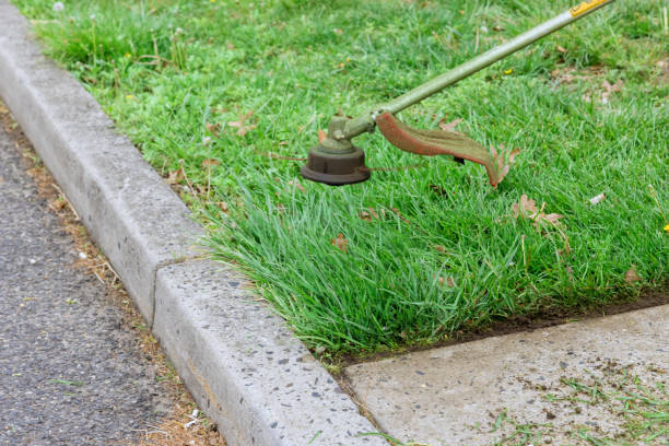 istock Process of cutting green grass with trimmer on rotating head 1405276409