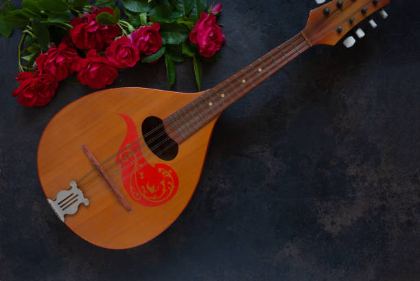 A musician plays a stringed instrument. Close up photo.