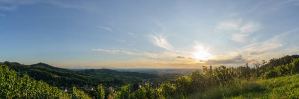 Panorama of golden sunset over beautiful landscape with the wine fields of the Black Forest, Sasbachwalden, Germany Panorama of golden sunset over beautiful landscape with the wine fields of the Black Forest, Sasbachwalden, Germany baden württemberg stock pictures, royalty-free photos & images