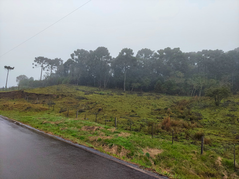 Cloudy Day, place close to the Canyons of the Cambará do Sul region. Quiet and good place to relax.