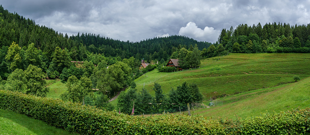 Scenic panoramic view of a picturesque mountain forest in summertime with house on a meadow, Black Forest, Germany