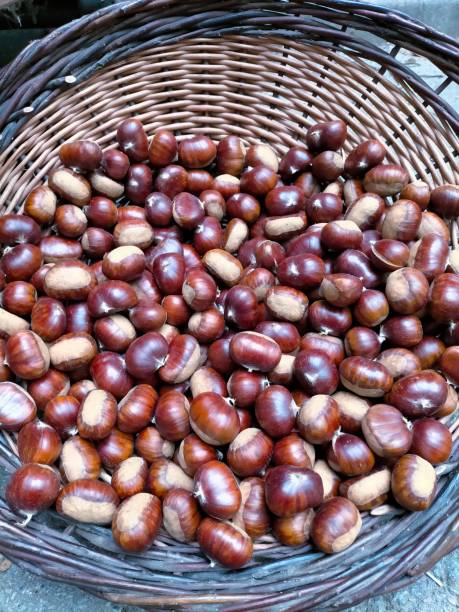 istock Castaneas,chestnuts in a light brown wicker basket. 1405285337