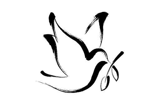 Dove peace drawing