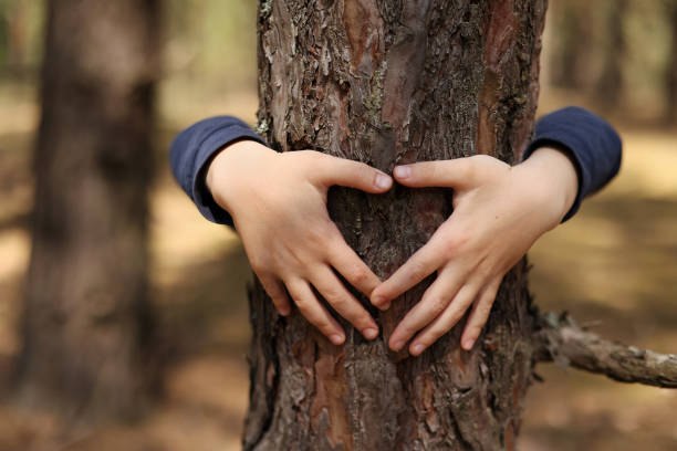 istock Child hug a tree in forest. Concept of global problem of carbon dioxide and global warming.Child's hands making a heart shape on a tree trunk. Love of nature. Hands around the trunk of a tree. 1405290635