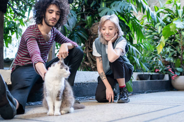 istock Non binary person and friend playing with cat 1405291716