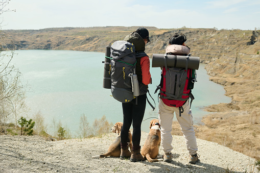 Rear view shot of two modern young female tourists hiking together with their dogs looking at picturesque quarry lake