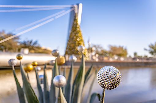 Succulent plants decorated for the holidays with gold and silver balls, in Old Town Scottsdale, Arizona. Shallow focus on the front sphere, with a Christmas Tree blurred in the background.