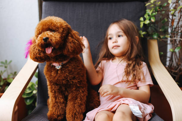istock Little girl playing with dog 1405293223