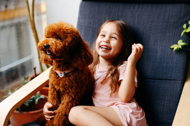 istock Little girl playing with dog 1405293345