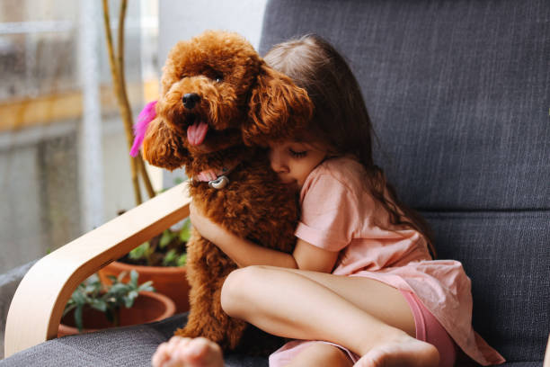 istock Little girl playing with dog 1405293512