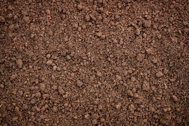 istock surface organic ground background, cultivated soil texture before planting 1405299807