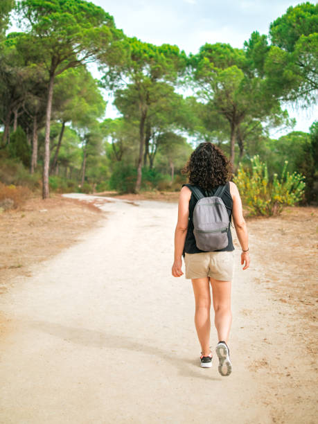 istock Woman with rucksack walking along a path through a pine forest. 1405309983