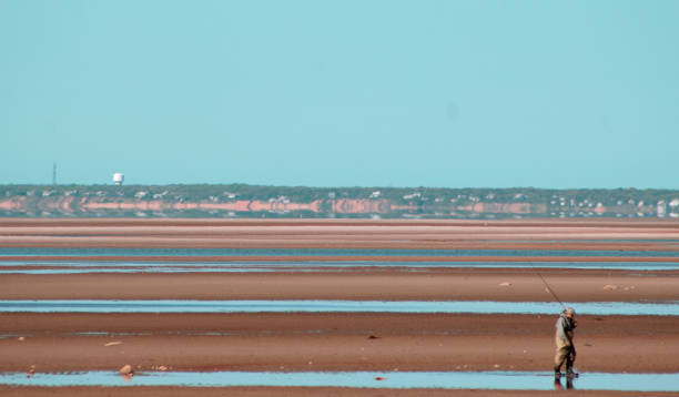 low tide fisherman - cape cod bay imagens e fotografias de stock