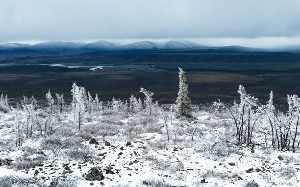 イーグルプレーンズ6月のユーコンの風景 - drivers point of view country road snowing blizzard ストックフォトと画像