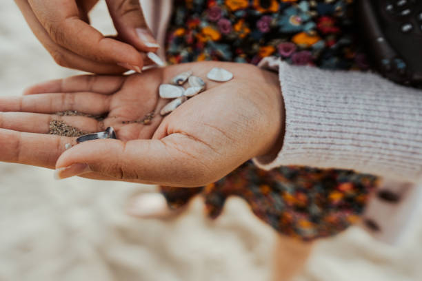 istock Close Up of someones hand holding sea shells 1405318064