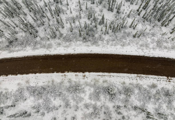 eagle plains yukon curvy landstraße im winterwald aus drohnensicht - drivers point of view country road snowing blizzard stock-fotos und bilder