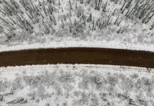 eagle plains yukon curvy wiejska droga w zimowym lesie z punktu widzenia drona - drivers point of view country road snowing blizzard zdjęcia i obrazy z banku zdjęć