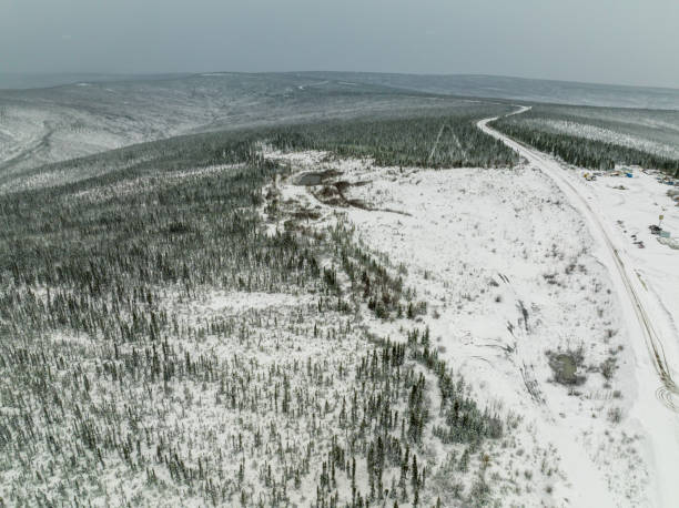 鷲の平原は、ドローンの視点から冬の森のユーコン湾曲した田舎道 - drivers point of view country road snowing blizzard ストックフォトと画像