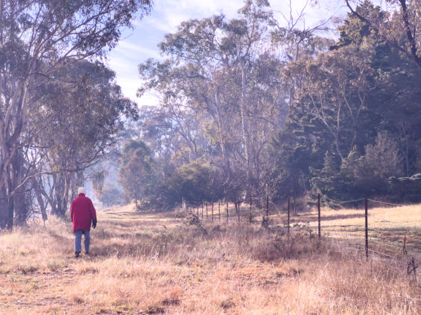 istock Morning Walk in the Winter Sunshine 1405323105