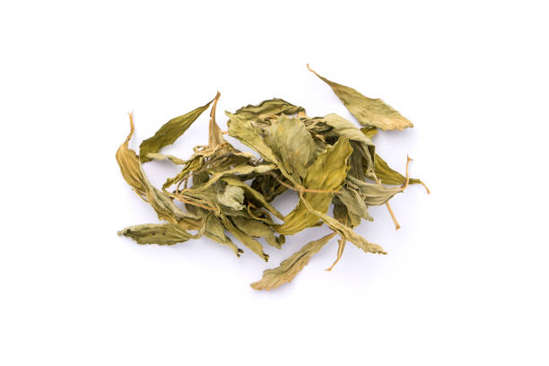 istock Dry stevia rebaudiana Bertoni on white background. 1405324596