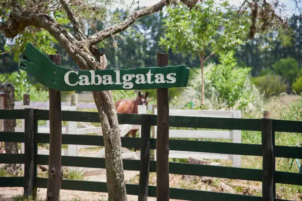 Rural vacations, sign with the text Horseback ridings written in Spanish in a rural sunny environment.