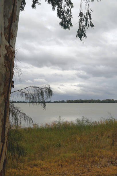 istock Lake Cargelligo, NSW, Australia 1405330037