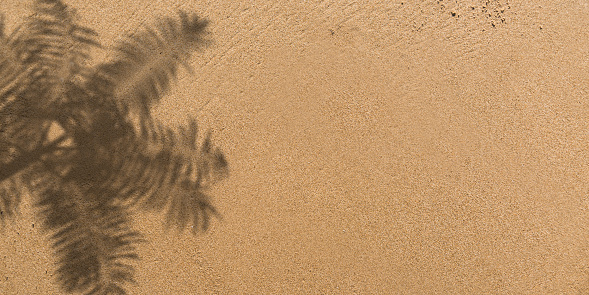 Summer vacation and travel concept: Hyper realistic 3D Palm tree leaf shadow on brown sand background. Illustration template with large copy space. Web banner, advertisement, marketing sales, product presentation and party invitation card.