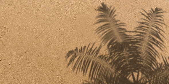 Summer vacation and travel concept: Hyper realistic 3D Palm tree leaf shadow on brown sand background. Illustration template with large copy space. Web banner, advertisement, marketing sales, product presentation and party invitation card.
