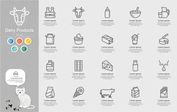 Vector illustration of Dairy Products Line Icons Content Infographic