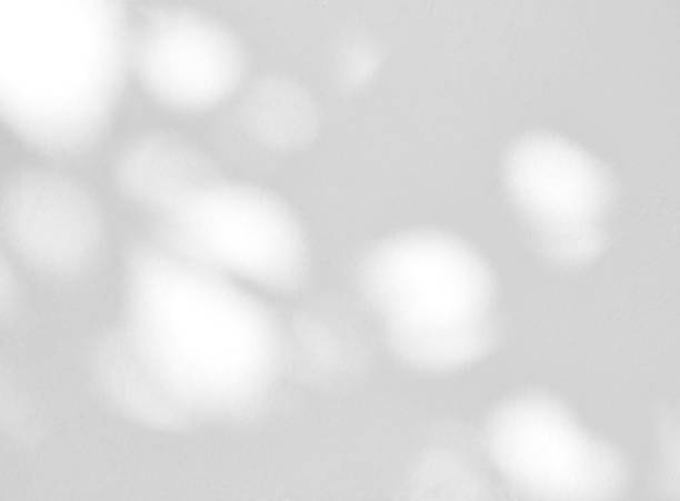 istock Abstract shadow of leaves on a white wall 1405344725