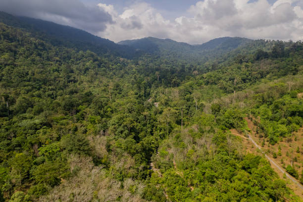 istock Resorts in Thailand Take a picture with a drone 1405344843