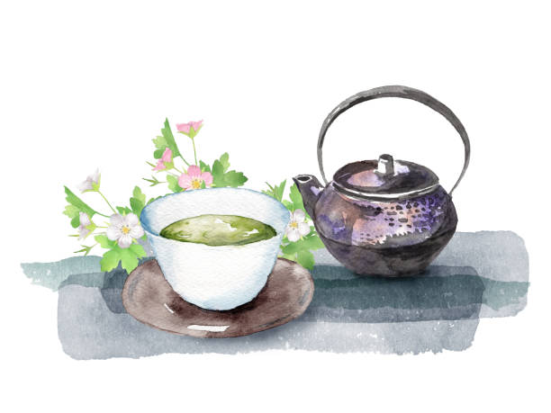 수채화 일본 허브 차, 제라늄 툰베리이 - tea crop spring japanese culture tea stock illustrations