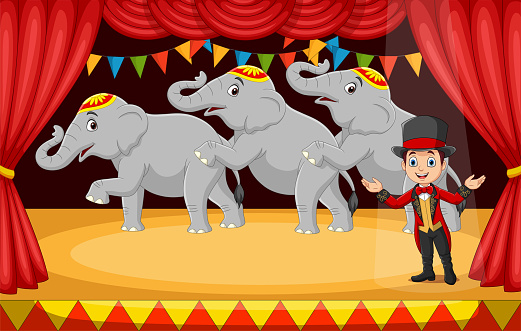 Vector illustration of Cartoon circus tamer with elephants on stage