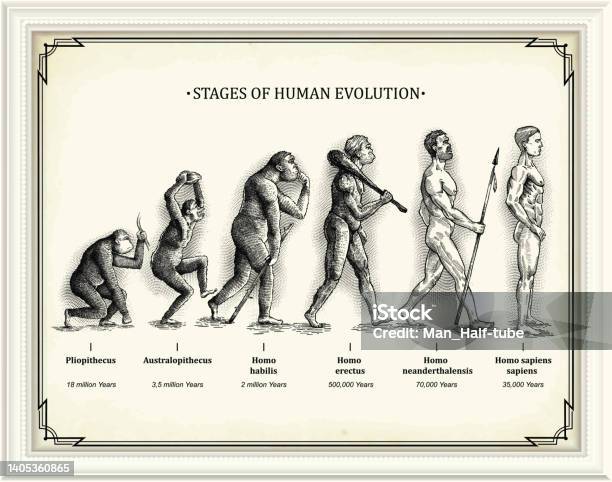 Stages Of Human Evolution Stock Illustration - Download Image Now - Evolution, Development, Progress