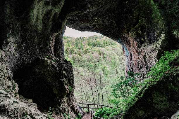 istock suspension bridge going over the mountain 1405363312