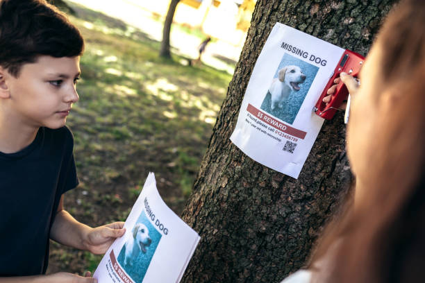 istock Children are looking for a missing dog, putting up posters. 1405364978