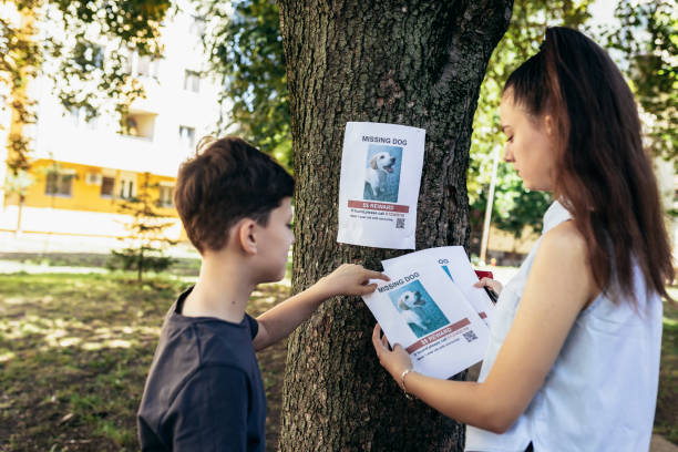 istock Children are looking for a missing dog, putting up posters. 1405364987