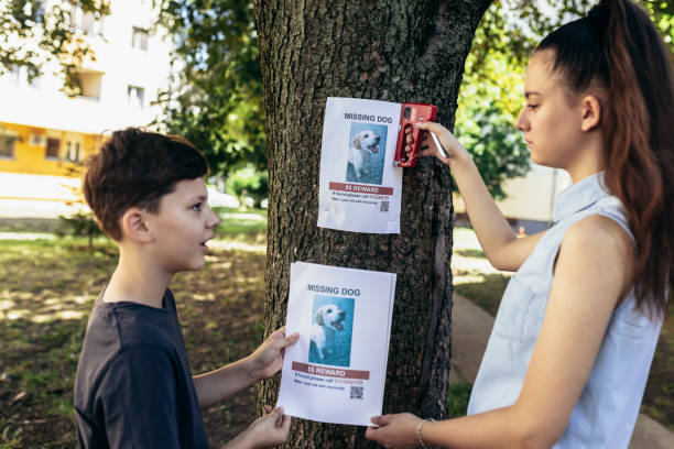istock Children are looking for a missing dog, putting up posters. 1405365002
