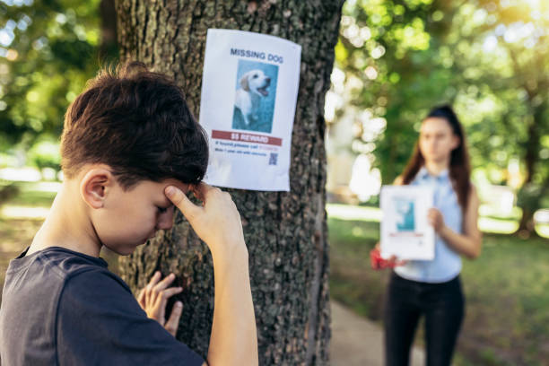 istock Children are looking for a missing dog, putting up posters. 1405365006